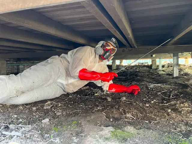 The Pest Experts - 24/7 Pest Control cover