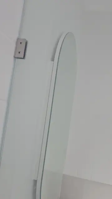 The Shower Repair Guys+ cover