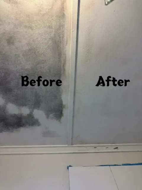 The Skilled Cleaning cover