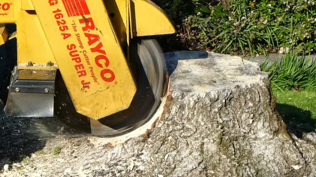 The Stump Grinder