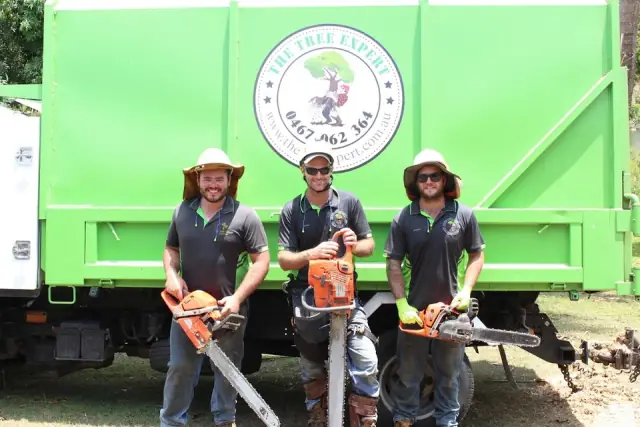 The Tree Expert cover