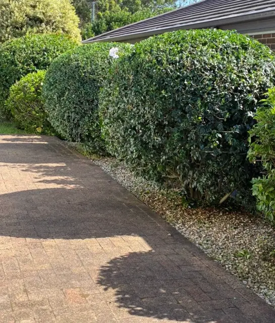 The Turf Tickler - Hedging & Gardens cover