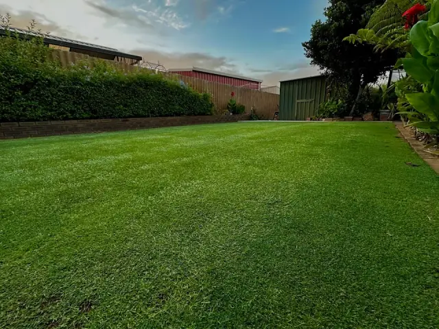Thirsty Lawn Solutions cover