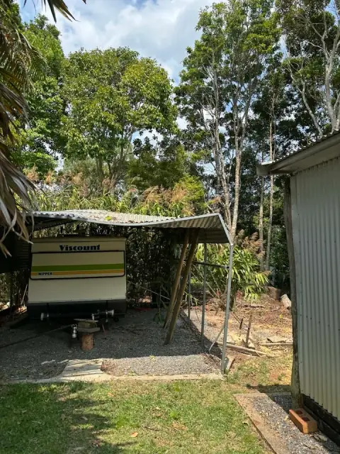 Thomas Arboriculture