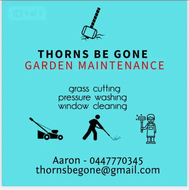Thorns be gone garden maintenance cover