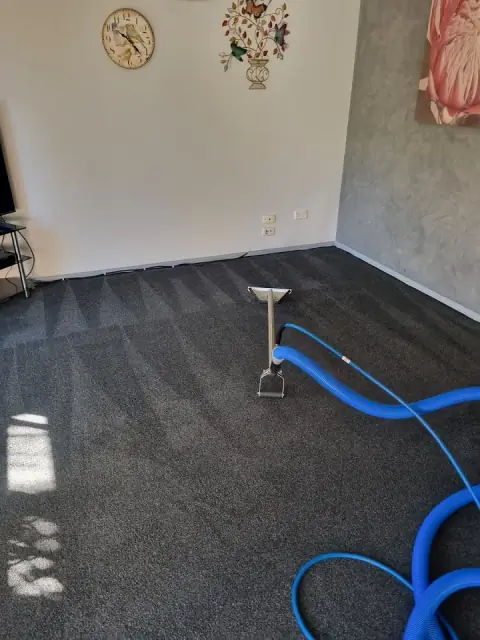 Ticked Off Pests Control and Carpet Cleaning