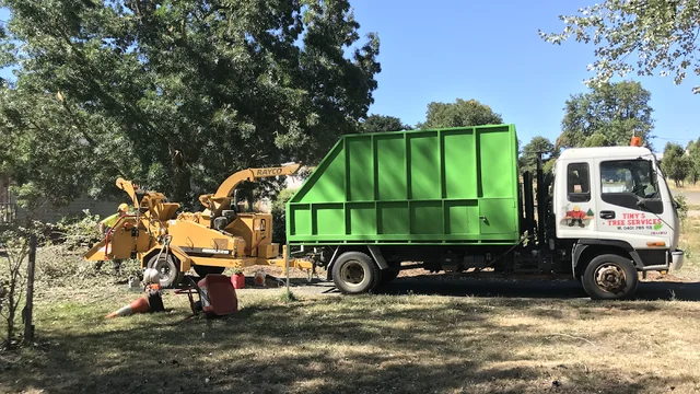 Tiny's Tree Services