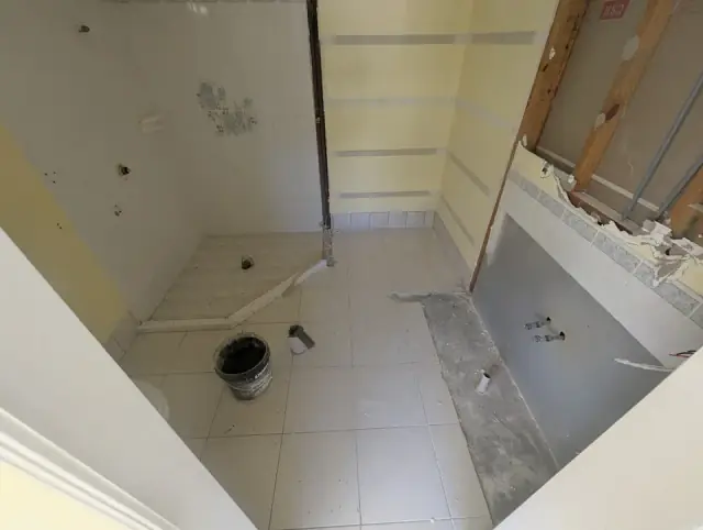 Titan Tile Removal cover