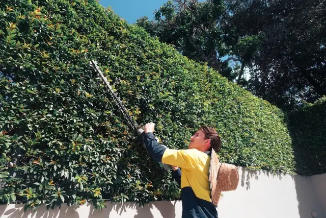 Toby's Mowing and Gardening