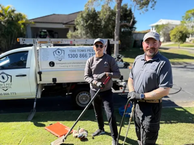 Tom's Pest Control Brisbane cover