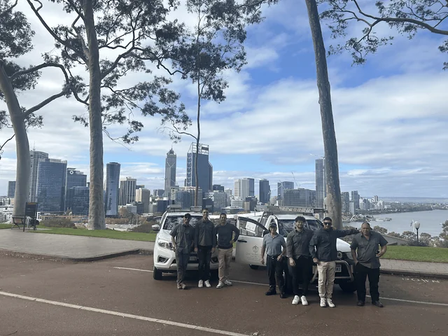 Tom's Pest Control Perth