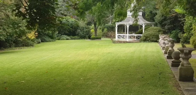 Top Dog Lawns cover