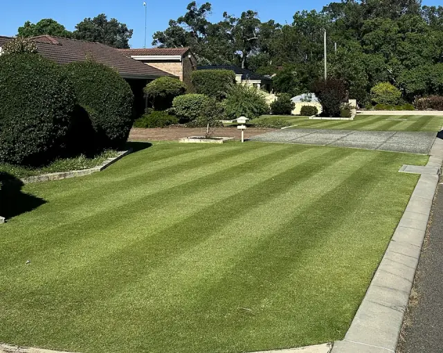 Top Tier Mowing & Gardens