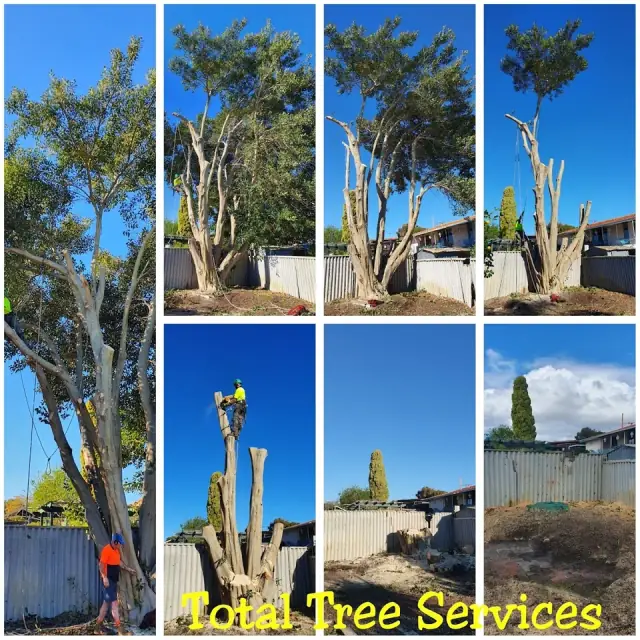 Total Tree Services