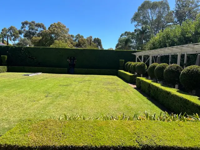 Total Trees and Gardens