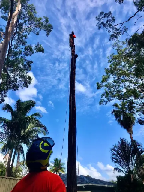 Touchwood Tree Services