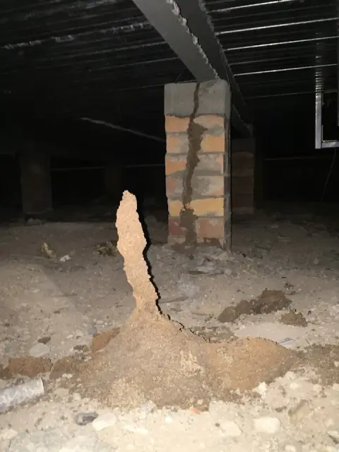 Tough On Termites & Pest Control cover