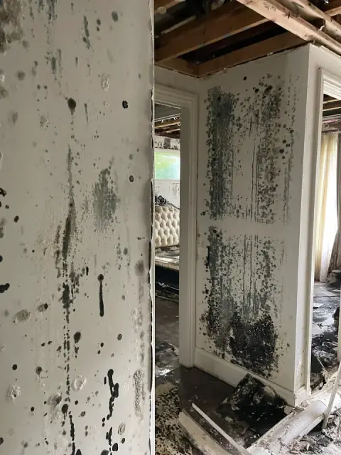 Trade Select Building Restoration cover