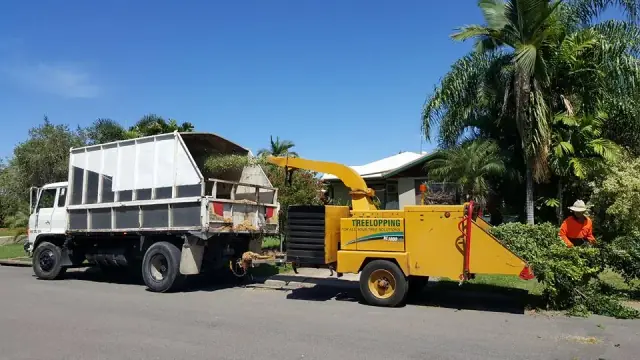 Tree Change NQ - Townsville Tree Care