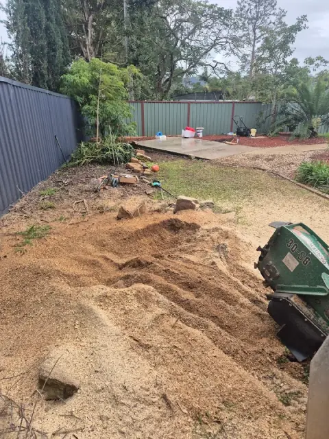 Tree Clear cover