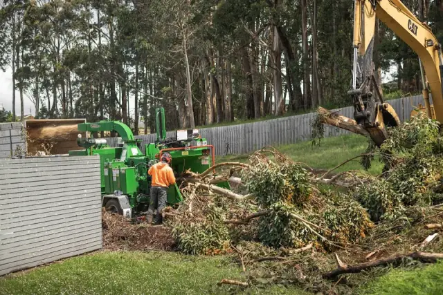 Tree Doctor Tasmania cover
