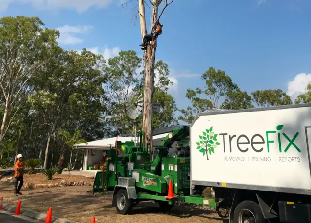 Tree Fix