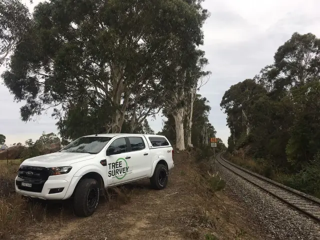 Tree Survey