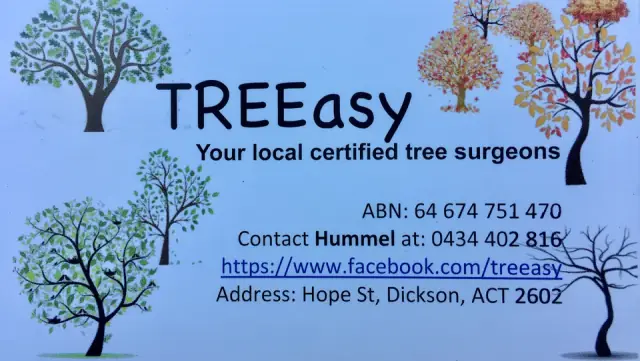 TREEasy