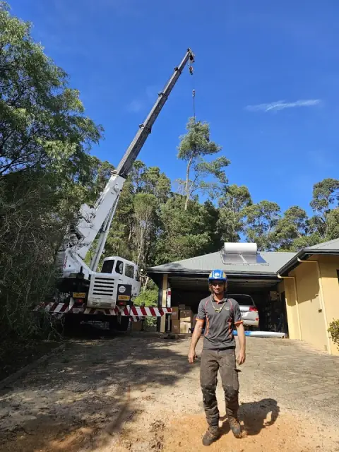 TREECO Arboriculture cover