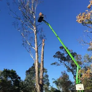 Treesafe Environmental Services