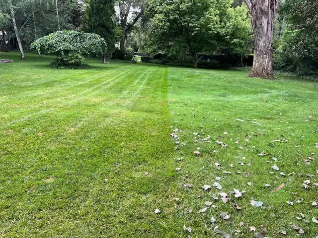 Trendy Gardens Mowing Canberra cover