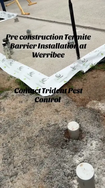 Trident Pest Control cover