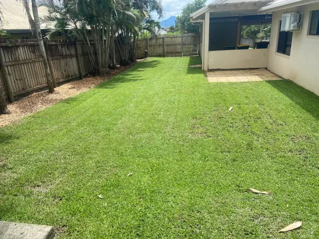 Tropical Lawns cover