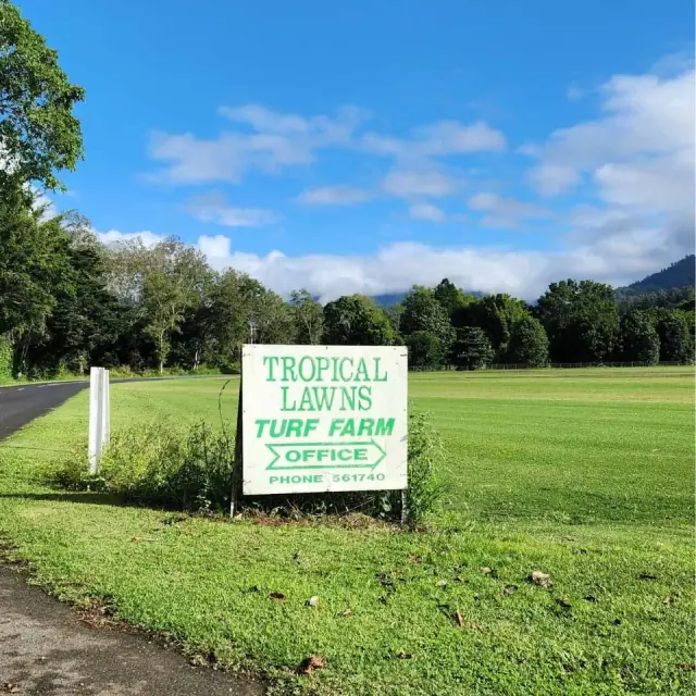 Tropical Lawns