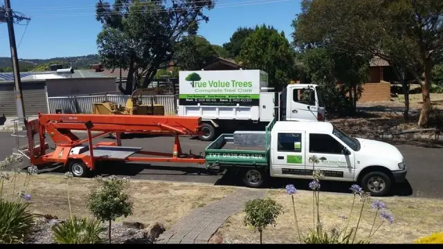 True value trees