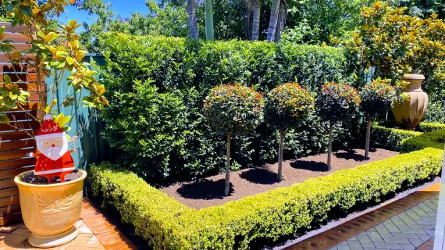 Trusted Garden Maintenance cover