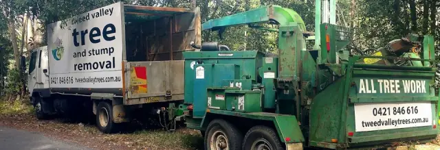Tweed Valley Tree and Stump Removal Tweed Coast-Tree Removal -Stump Grinding-Treelopping-Treelopper
