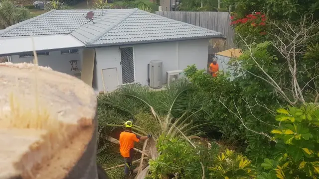 Tweed Valley Tree Services cover