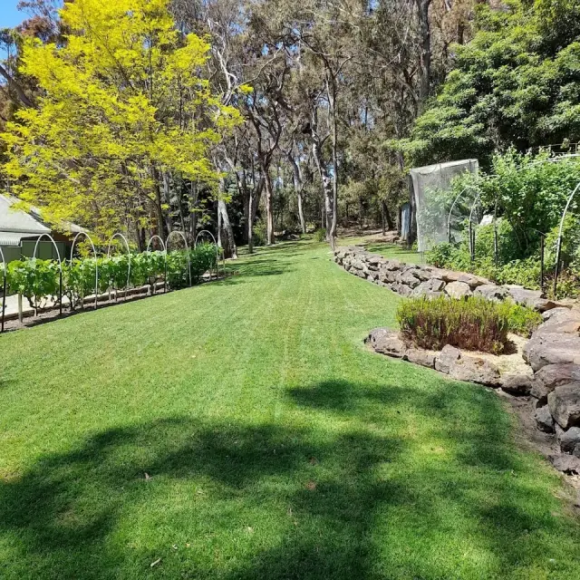 Unique Lawns