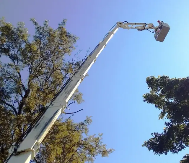 Unit's Mob Professional Tree Services cover