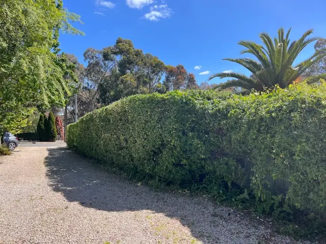 Universal Gardens And Lawns cover