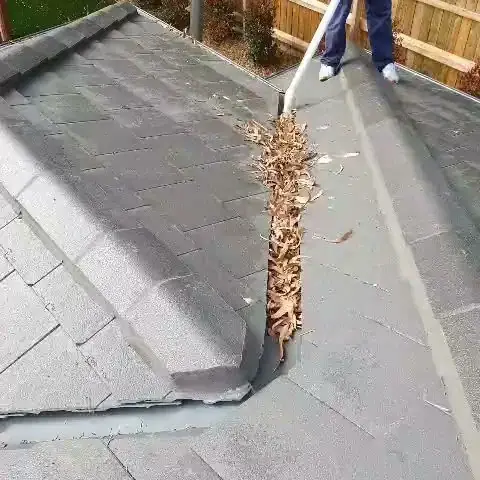 Urban Vac cover