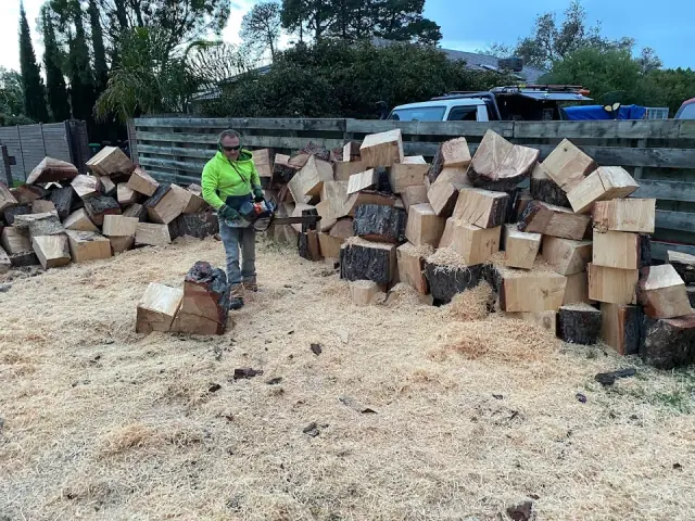 Victorian Tree Specialists cover