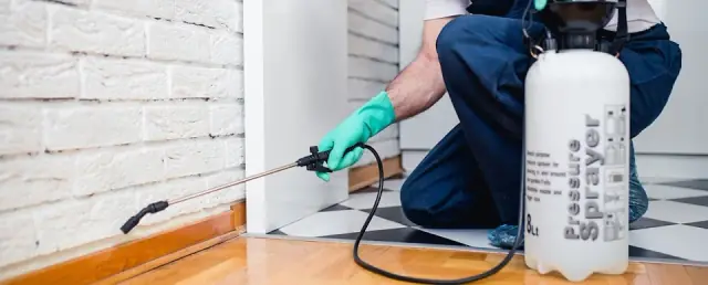 VIP Pest Control Bendigo cover