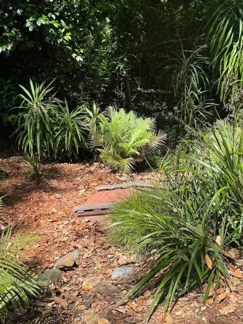 Viriditas Gardens cover