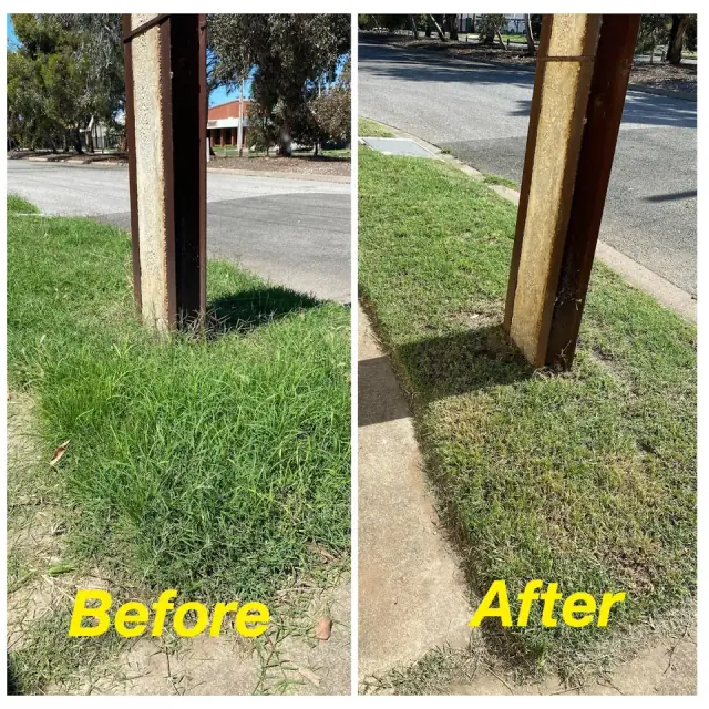 Vision Landscaping and Gardening