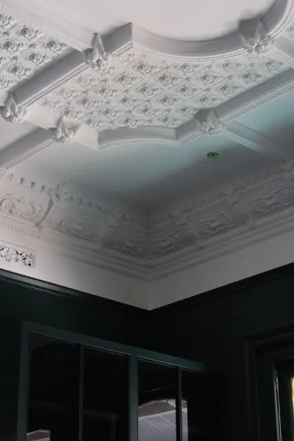 Vision Ornate Plaster