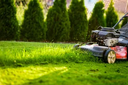 VM Westside Lawn Mowing and Garden Services