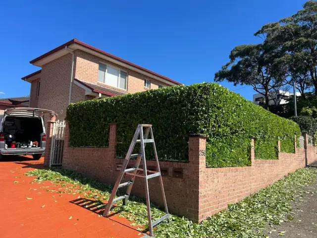 Volkan Garden Services cover