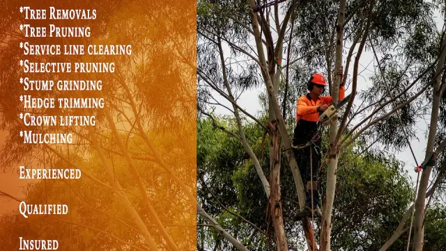 Walton's Tree Care Service